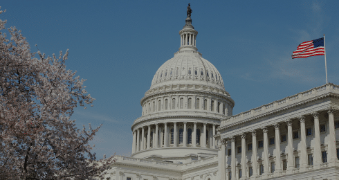 US Capitol Building with cherry blossoms and American flag.