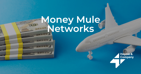 Money Mule Networks concept with cash stacks and airplane on blue background.